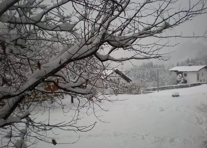 بنسيون أنديرلا